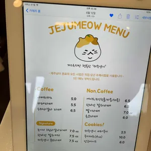 제주냥이 리뷰 사진