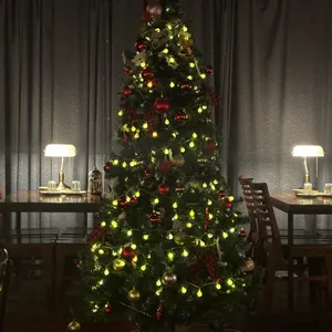 베이컨시 리뷰 사진