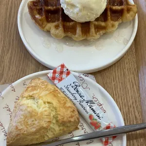 아이스아프리카 사진