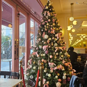 기욤 대표 사진