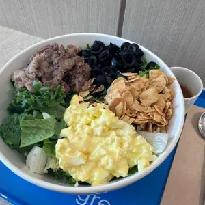 그리너 사진