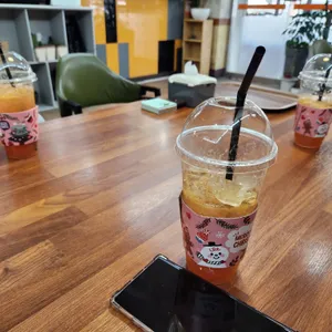 시쥬 사진