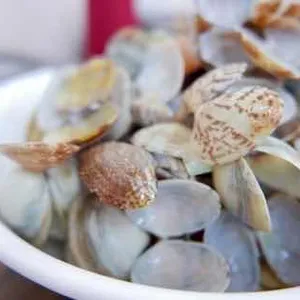 황해해물칼국수 리뷰 사진