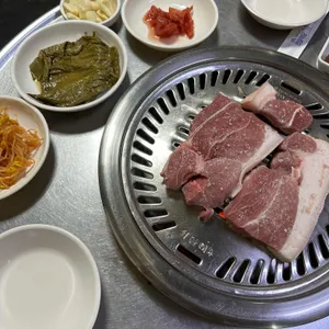 춤추는꽃돼지 사진