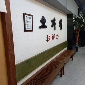 오가와 리뷰 사진