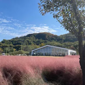 이숲 리뷰 사진
