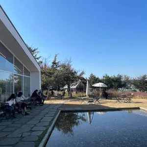 이숲 리뷰 사진