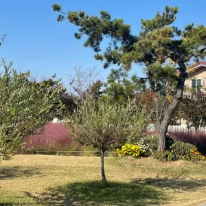 이숲 리뷰 사진