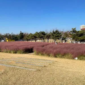 이숲 리뷰 사진