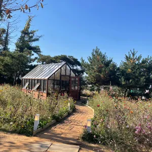 이숲 리뷰 사진