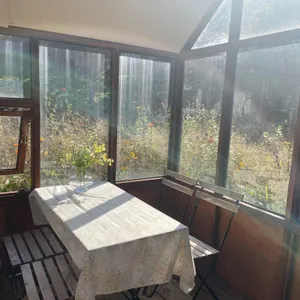 이숲 리뷰 사진