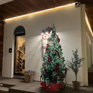 카페진리 리뷰 사진