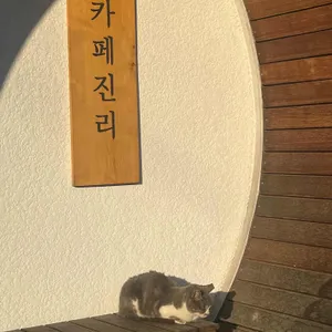 카페진리 리뷰 사진
