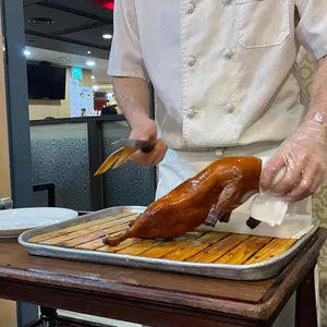 베이징코야 사진