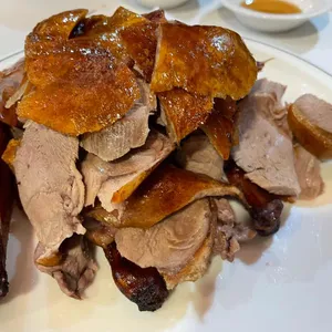 베이징코야 사진