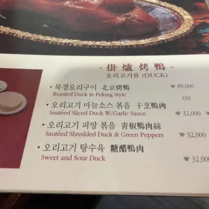 베이징코야 리뷰 사진