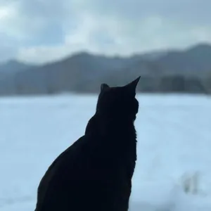 카페 연월일 사진