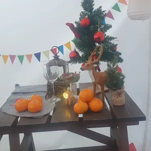 보광산관광농원 리뷰 사진