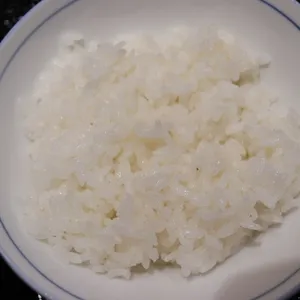 쥬가 사진
