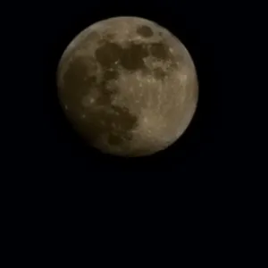유명찐빵 사진