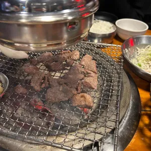 서울갈매기 사진