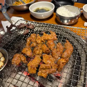 서울갈매기 사진