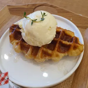 아이스아프리카 사진