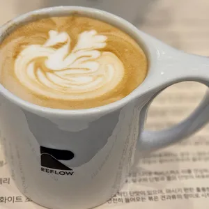 리플로우 사진