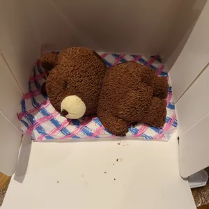 딥다이브 리뷰 사진