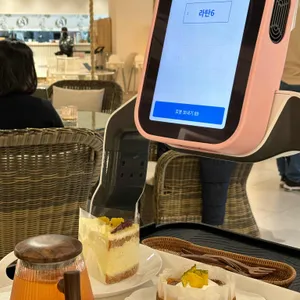 오아시스 사진