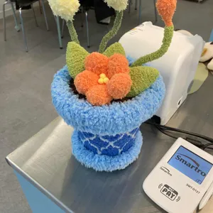 피테 사진