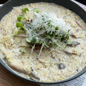 포코아 사진