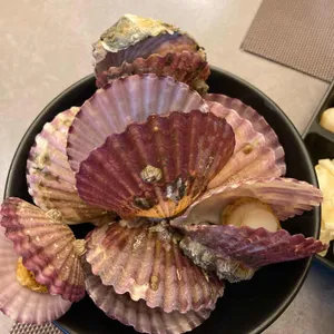 낮초밤회 사진