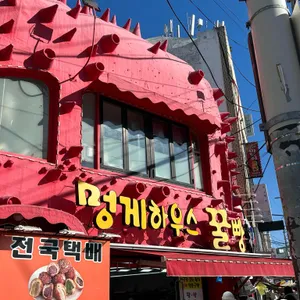 멍게하우스 리뷰 사진
