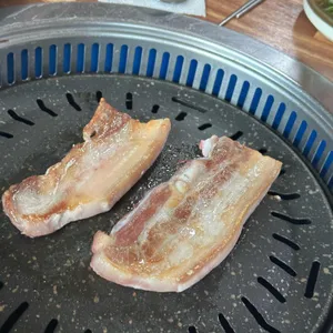 정자나무 사진