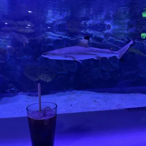 매직플로우 리뷰 사진