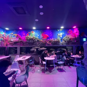 매직플로우 리뷰 사진