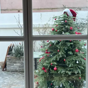 써브즈 리뷰 사진