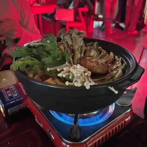 토라 사진