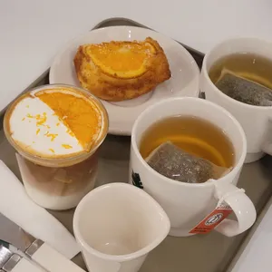 식물학 사진