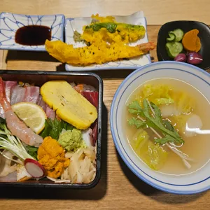 코바치 사진