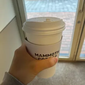 매머드익스프레스 사진