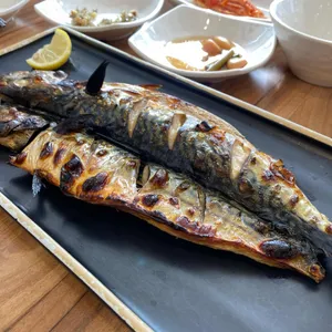 북극해고등어 사진