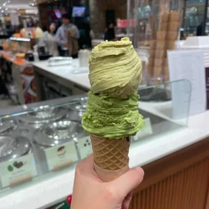 젤라띠젤라띠 사진