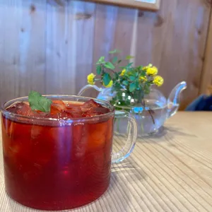 설향 대표 사진