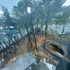 넓은여울전망대카페 리뷰 사진