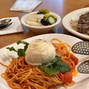 오캄 사진