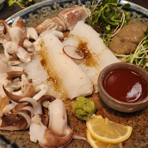 코쿤 사진
