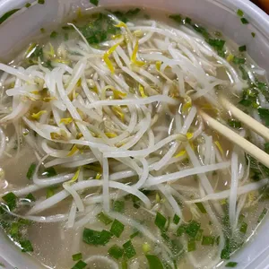 포레스트 오늘 숲 사진