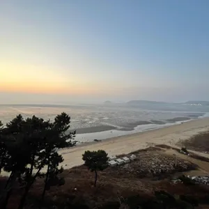 엠클리프 리뷰 사진